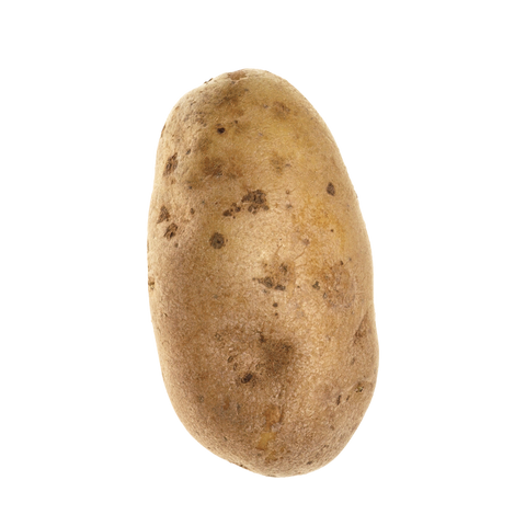 Potato